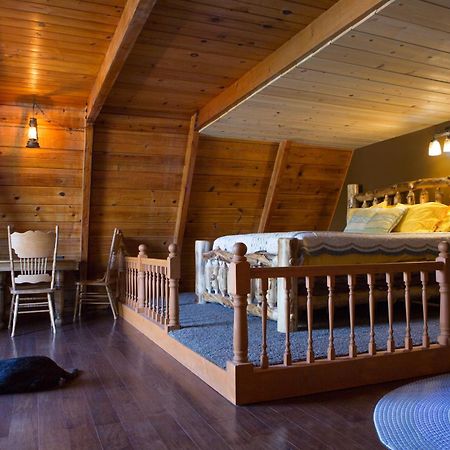 Hicksville Pines Chalets & Motel Idyllwild Zewnętrze zdjęcie