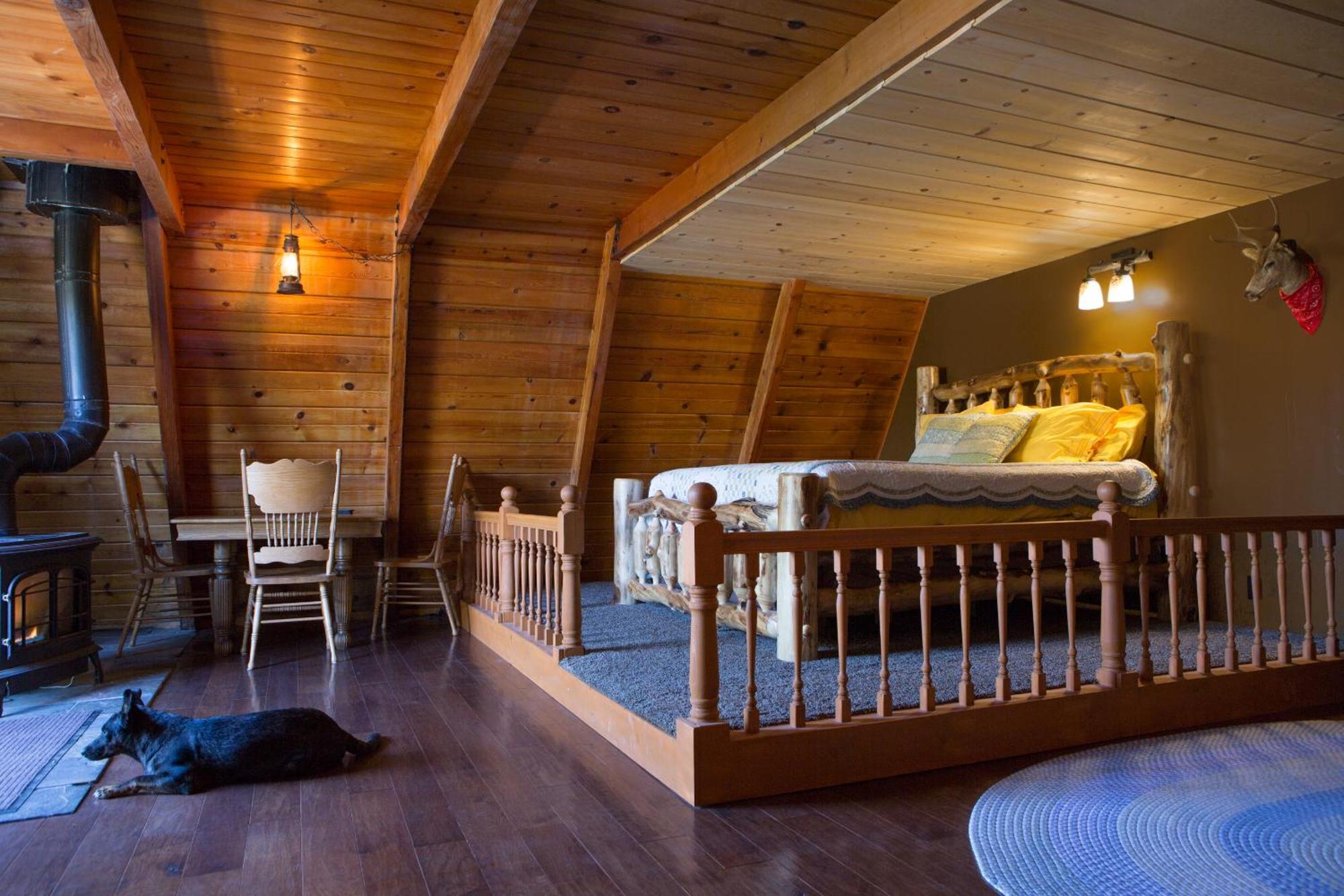 Hicksville Pines Chalets & Motel Idyllwild Zewnętrze zdjęcie